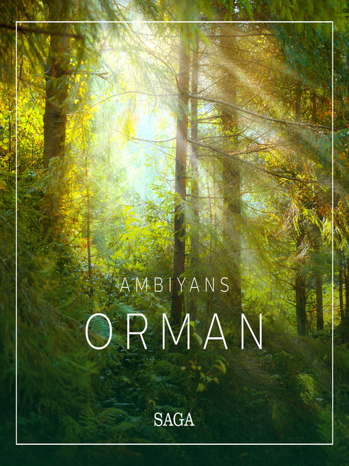 Title details for Ambiyans--Orman by Rasmus Broe - Available
